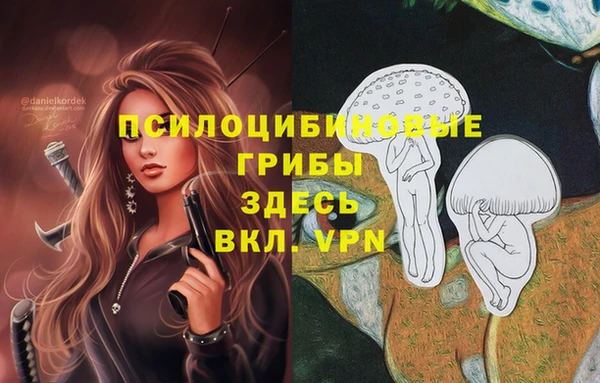 метадон Алексеевка