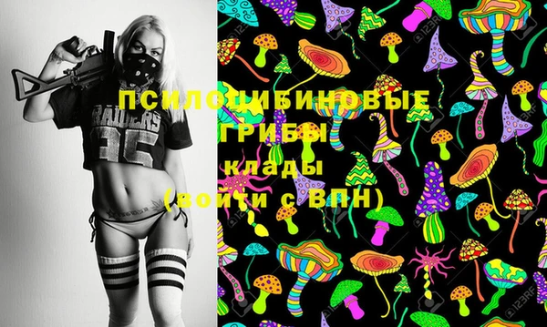 метадон Алексеевка