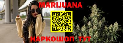 молекула духа Шебекино