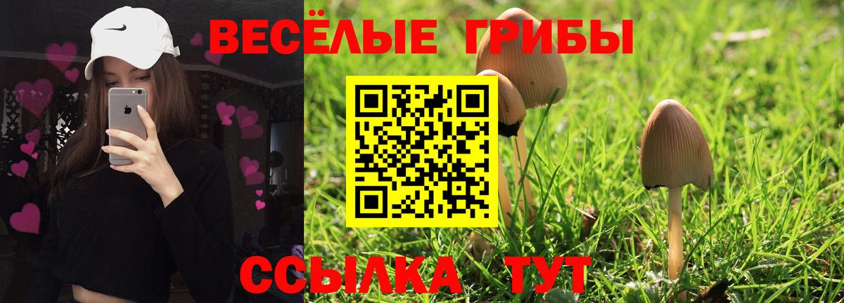 Псилоцибиновые грибы прущие грибы Аргун