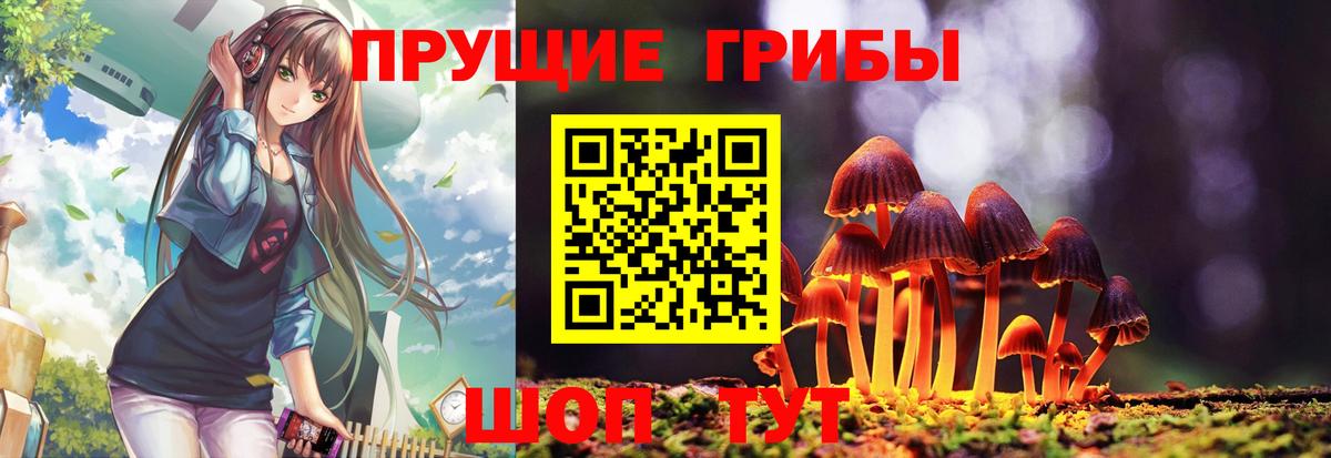 Галлюциногенные грибы Psilocybine cubensis  Галлюциногенные грибы GOLDEN TEACHER  Вход с VPN  Аргун 