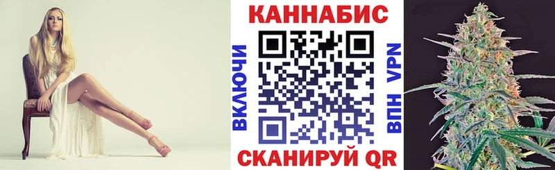 Бошки марихуана Amnesia  где найти   Аргун 
